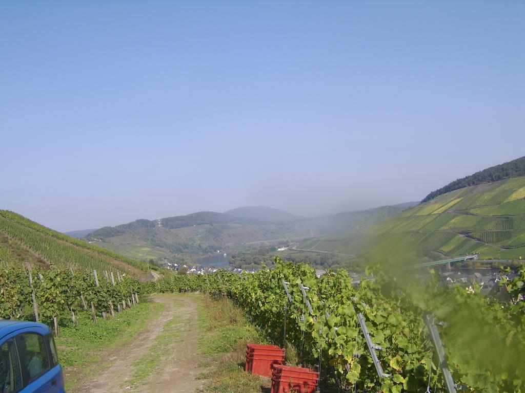 Weingut Matthias Dauns Apartment Reil Ngoại thất bức ảnh