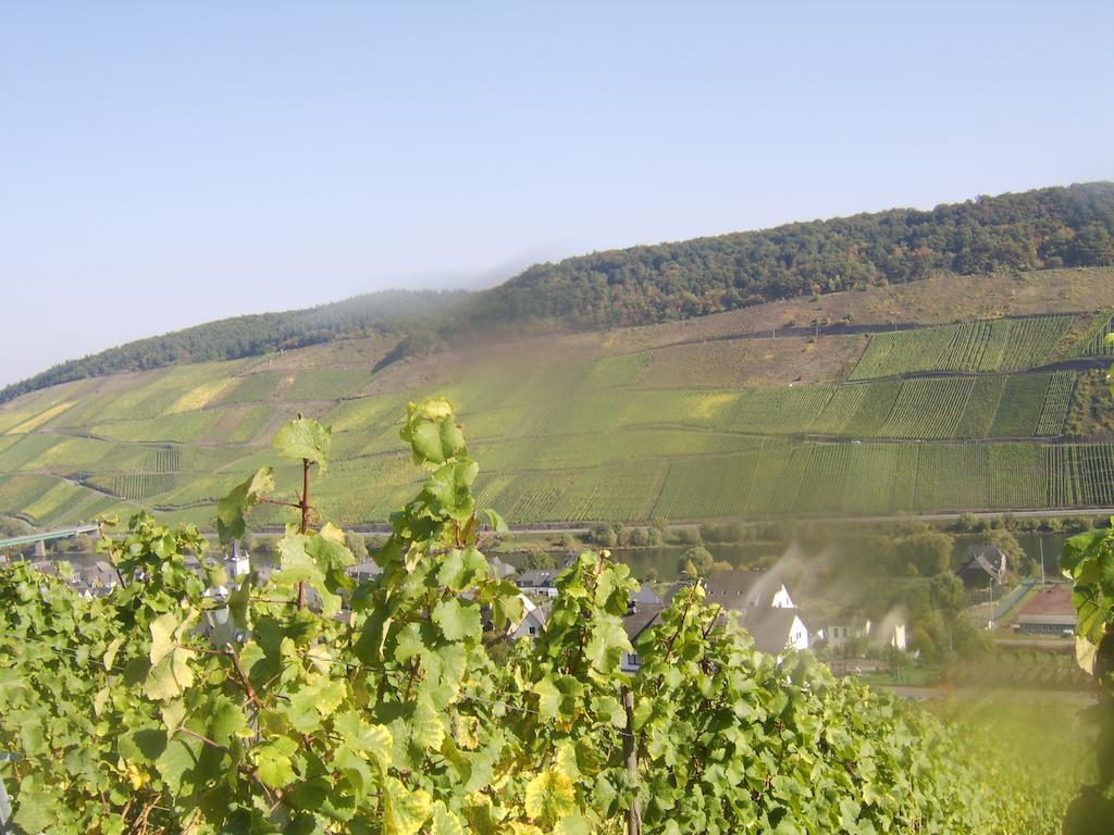 Weingut Matthias Dauns Apartment Reil Ngoại thất bức ảnh