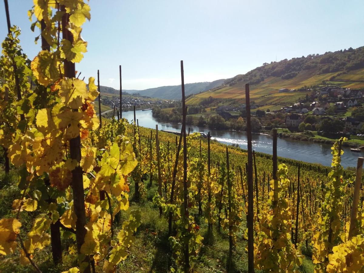 Weingut Matthias Dauns Apartment Reil Ngoại thất bức ảnh